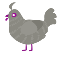 (unnamed), a ash chicken with a bar pattern