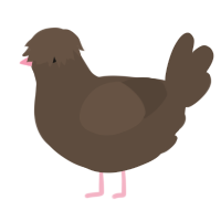A bark chicken