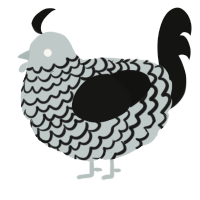 A silver and black chicken with a lace pattern