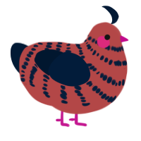 A red and tumblr chicken with a bar pattern