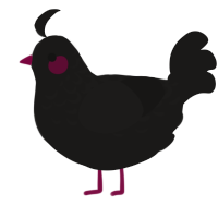 A sable chicken with a half-lace pattern