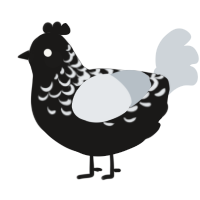 A sable and mist chicken with a half-lace pattern