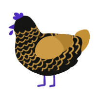 Loopy Loobert, a black and gold chicken with a lace pattern