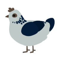 mayfly, a silver and tumblr chicken with a neck-speckle pattern
