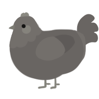rock, a grey chicken with a head pattern