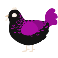 A black and plum chicken with a half-lace pattern