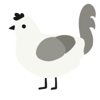 Duster, a white and ash chicken