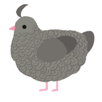 A ash and grey chicken with a double-lace pattern