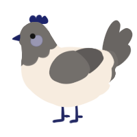 Blueberry, a cream and grey chicken with a head pattern