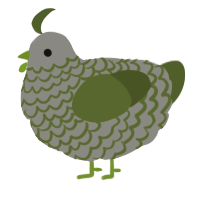 A ash and olive chicken with a lace pattern