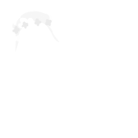 Saint, a white chicken