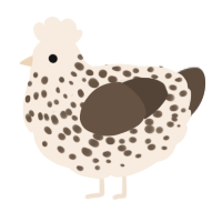 A cream and bark chicken with a speckle pattern