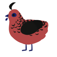 A red and black chicken with a half-lace pattern
