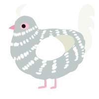 Daisy Tonner, a silver and white chicken with a bar pattern