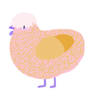 peachy, a rose and honey chicken with a double-lace pattern
