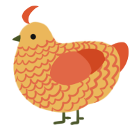 A honey and vermilion chicken with a lace pattern