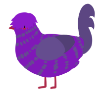 Fa ded man, a violet and overcast chicken with a bar pattern