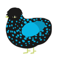 A sable and cerulean chicken with a speckle pattern