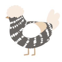 A grey and cream chicken with a bar pattern