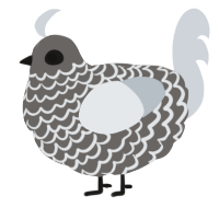 the sludge, a grey and mist chicken with a lace pattern