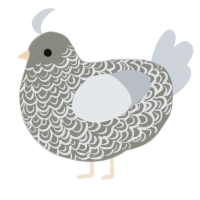 A ash and mist chicken with a double-lace pattern