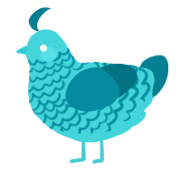Turquoise, a aqua and sea chicken with a lace pattern