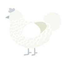 Cotton Swab, a white chicken with a lace pattern