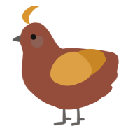 A russet and orange chicken