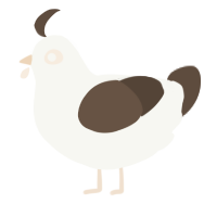 A white and bark chicken