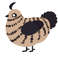 A vermilion and tumblr chicken with a bar pattern