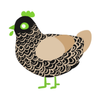 (unnamed), a sable and beige chicken with a double-lace pattern