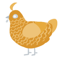 A orange and honey chicken with a lace pattern