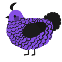 Chiko, a blurple and sable chicken with a lace pattern