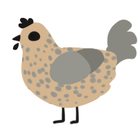 Parmesean, a beige and ash chicken with a speckle pattern