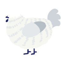 A white and mist chicken with a bar pattern