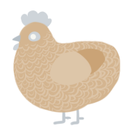 A beige chicken with a double-lace pattern