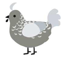 A ash and mist chicken with a half-lace pattern