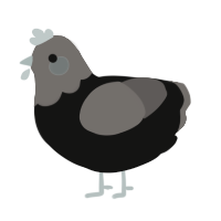 (unnamed), a black and grey chicken with a head pattern