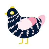 Pleia, a tumblr and rose chicken with a bar pattern