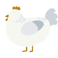Jin, a white and mist chicken with a neck-speckle pattern