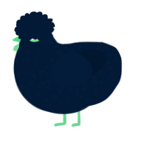 Tumble Stumble, a tumblr chicken with a speckle pattern