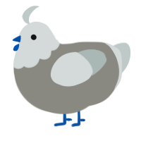 Silica, a ash and silver chicken with a head pattern
