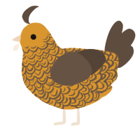 A orange and bark chicken with a double-lace pattern