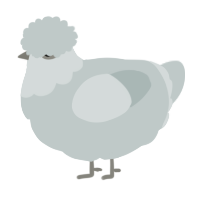 Cloud of sorts, a silver chicken with a head pattern