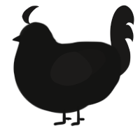Nyx, a black and sable chicken