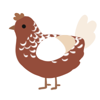 Gingerbread, a russet and cream chicken with a half-lace pattern