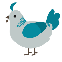 A silver and sea chicken with a neck-band pattern