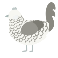 (unnamed), a white and ash chicken with a lace pattern