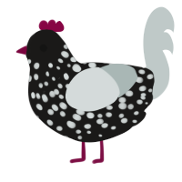 A sable and silver chicken with a speckle pattern
