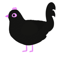 Enderman, a black chicken with a lace pattern
